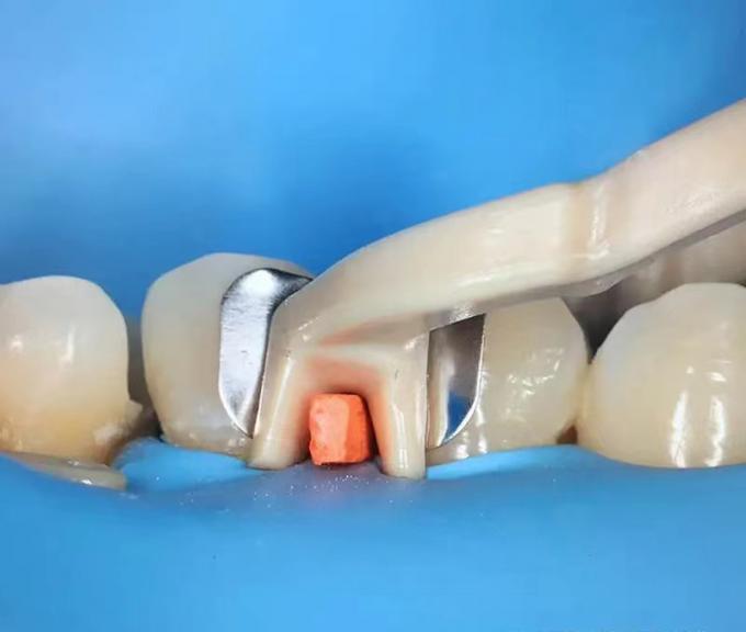 Dental Sectional Matrix System F1 Autoclavable includes Matrix Bands M2 + Clamp Ring R3 1.0 1