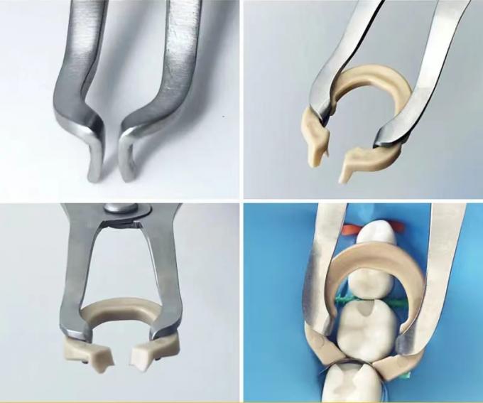 Dental Sectional Matrix System F1 Autoclavable includes Matrix Bands M2 + Clamp Ring R3 1.0 2
