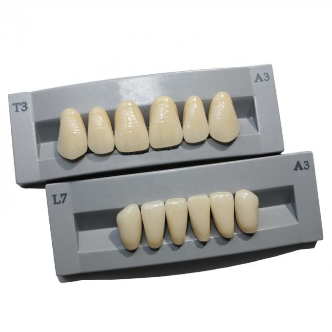 High Durability Artificial Acrylic Teeth VITA High Stain Impact Resistance Heraeus Form 0