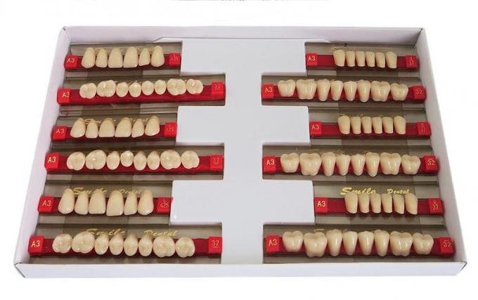 Heraeus Form Dental Acrylic Resin Teeth With VITA Shade High Strength Flexibility 0