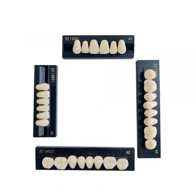 High Stain Resistance Artificial Acrylic Teeth Made Of Acrylic Resin Composite 2