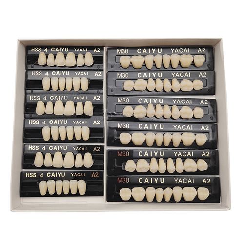 High Durability Acrylic Resin Composite Dental Teeth 3