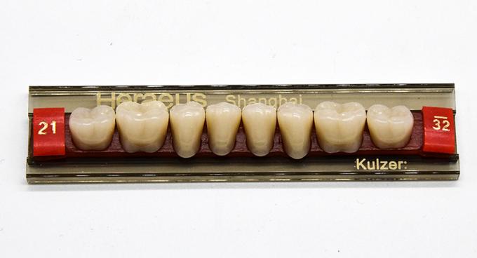 VITA System False Dental Teeth with Heraeus Teeth Form 1 Easy to Use 0