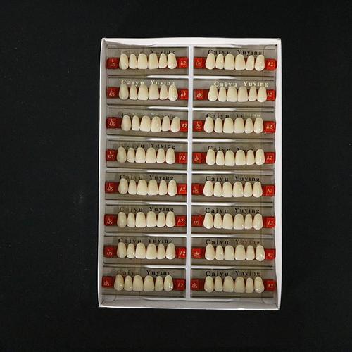Heraeus Artificial Dental Teeth with High Strength and Wear Resistance 2