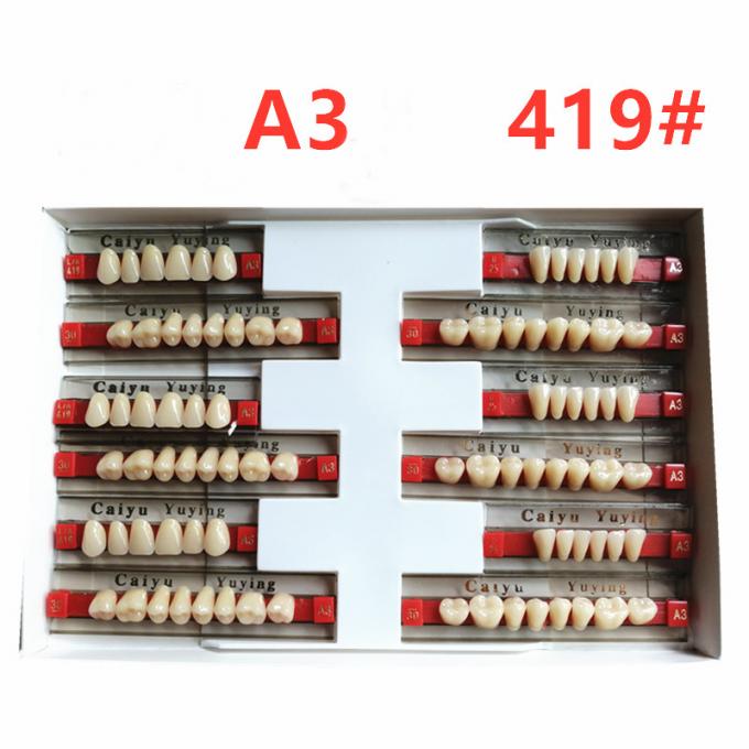 Heraeus Dental Acrylic Resin Teeth High Stain Resistance Durability 0