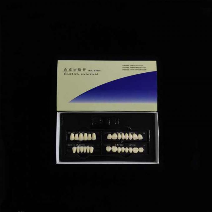 Acrylic Synthetic Polymer Resin Teeth Two Layers Dental Composite False Teeth 0