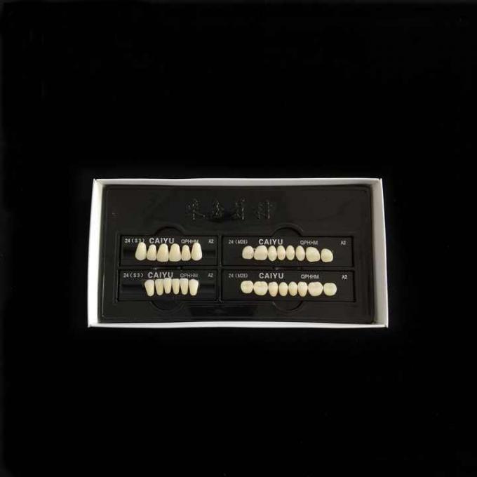 High Stain Resistance Dental Acrylic Resin Teeth For VITA System Durable Long Lasting 0