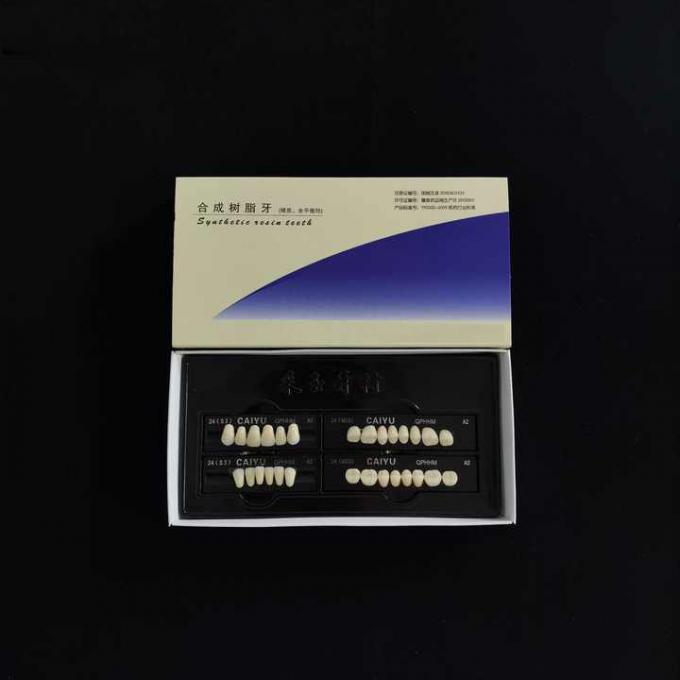 High Stain Resistance Dental Acrylic Resin Teeth For VITA System Durable Long Lasting 1