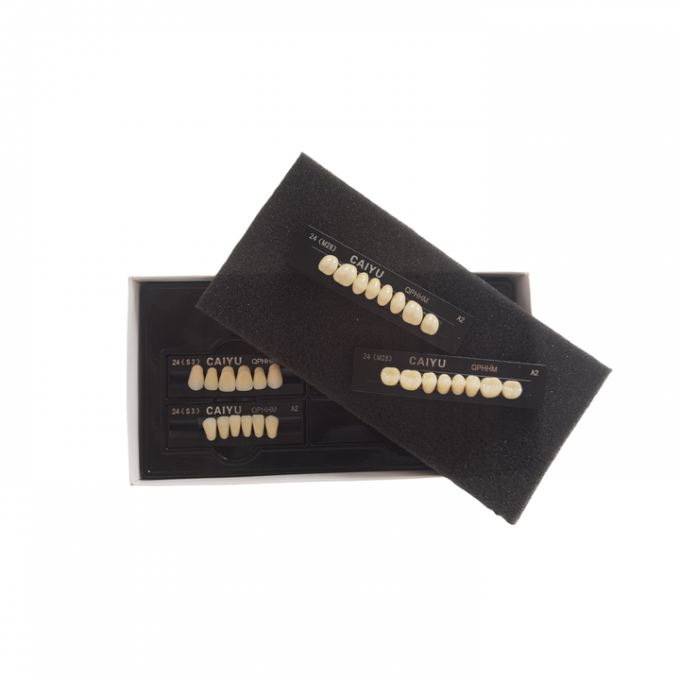 High Durability Dental Artificial Teeth Supported By VITA System Technology 0
