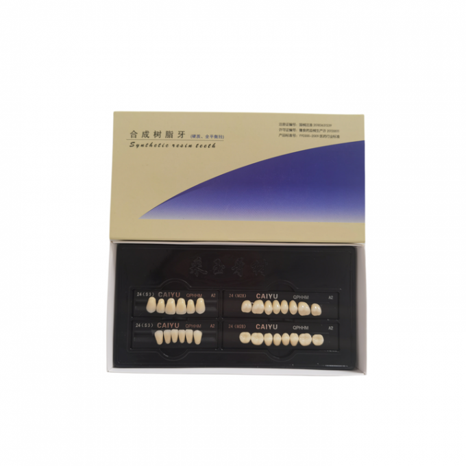 High Durability Dental Artificial Teeth Supported By VITA System Technology 2