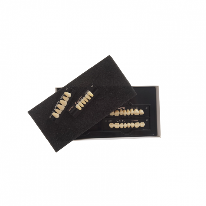 High Wear Resistance Dental Acrylic Resin Teeth Form 1 Heraeus 0