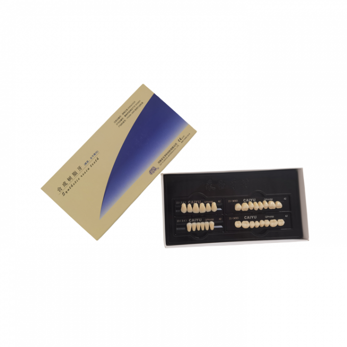 High Wear Resistance Dental Acrylic Resin Teeth Form 1 Heraeus 1