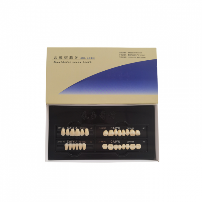 High Wear Resistance Dental Acrylic Resin Teeth Form 1 Heraeus 2
