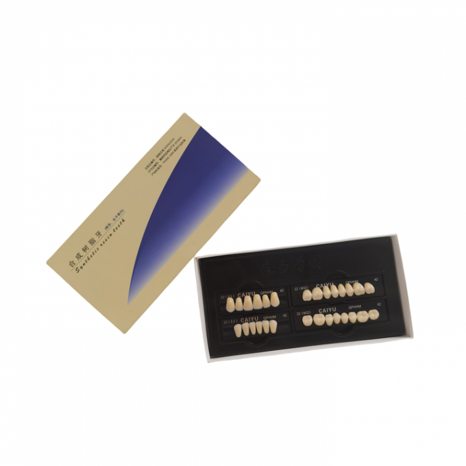 High Strength Dental Acrylic Resin Teeth Compatible With VITA System 0