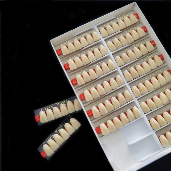 High Strength Dental Artificial Acrylic Resin Composite Teeth Long Lasting Stain Resistance 0
