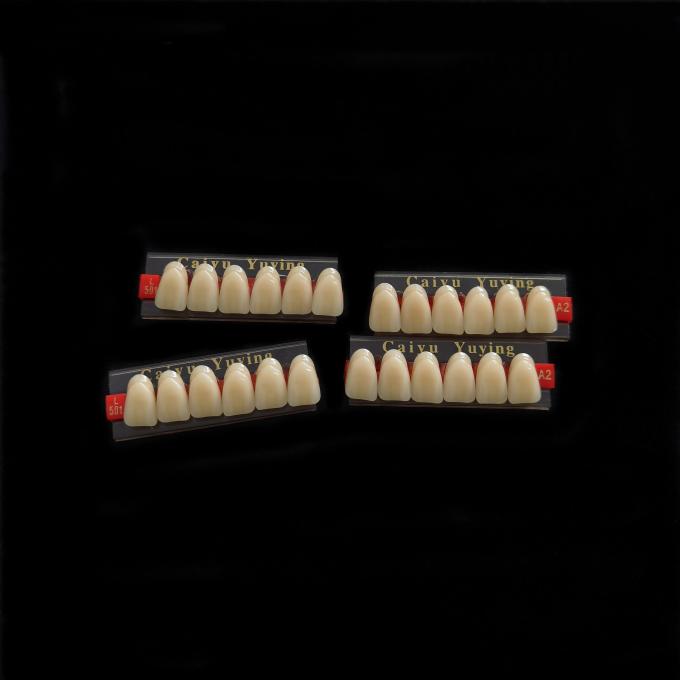 Incisor (2×1)×16 Dental Acrylic Resin Composite Denture VITA System False Teeth 1
