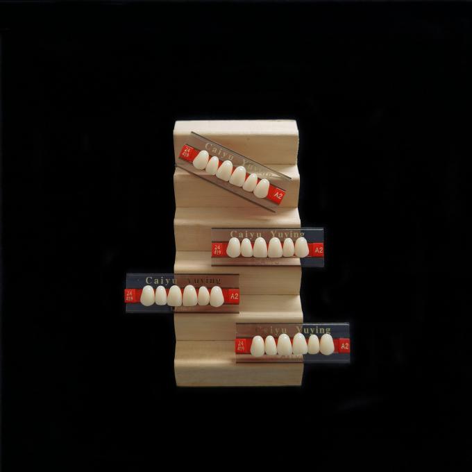 CE ISO13485 2 Layers Acrylic Resin Teeth Dental Composite False Teeth Dentadura Anteriors Upper, (6x1)x16, 503# 0