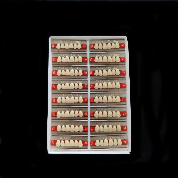 CE ISO13485 2 Layers Acrylic Resin Teeth Dental Composite False Teeth Dentadura Anteriors Upper, (6x1)x16, 503# 1
