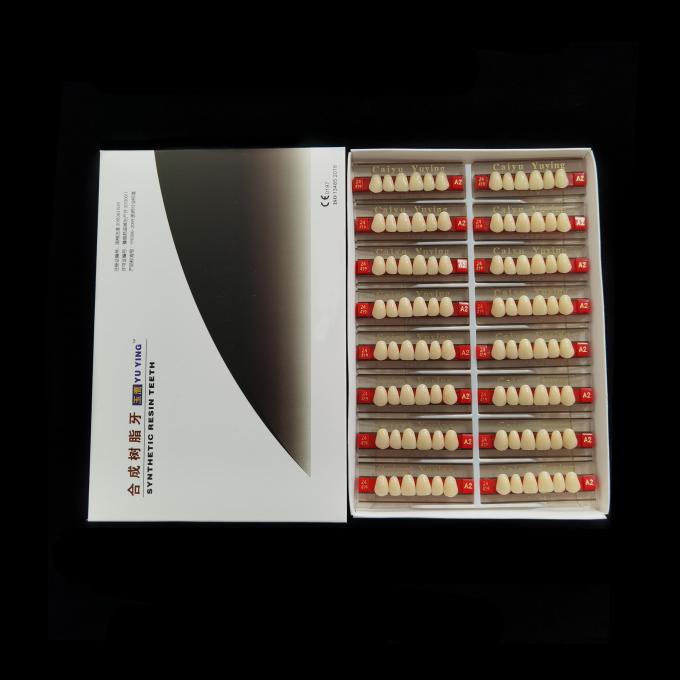 CE ISO13485 2 Layers Acrylic Resin Teeth Dental Composite False Teeth Dentadura Anteriors Upper, (6x1)x16, 503# 2