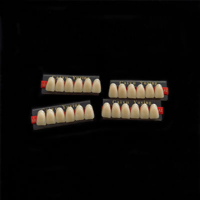 Fake Resin Teeth Composite Resin Denture Teeth Top Hard  3 Layers