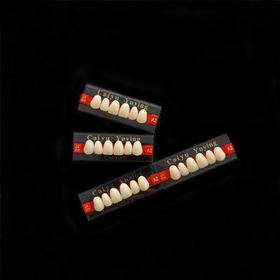 Fake Resin Teeth Composite Resin Denture Teeth Top Hard  3 Layers