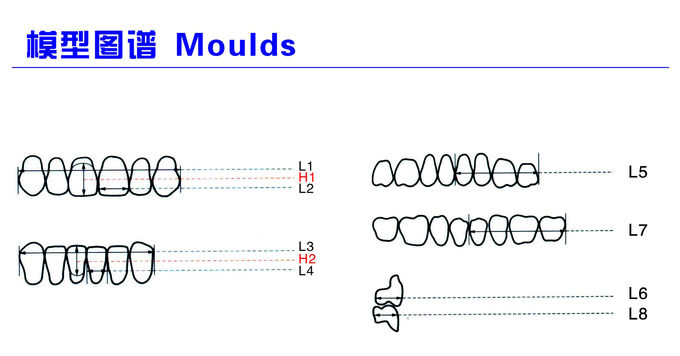 Fake Resin Teeth Composite Resin Denture Teeth Top Hard  3 Layers 2