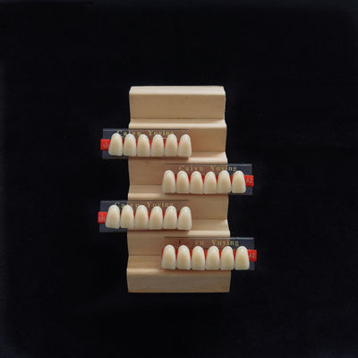 China Incisor (2×1)×16 Dental Acrylic Resin Composite Denture VITA System False Teeth